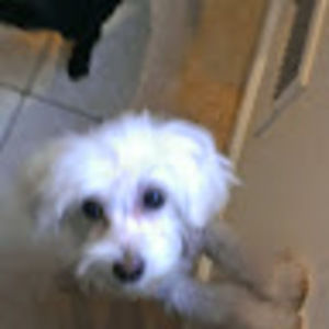 Meet your Posher, Rita